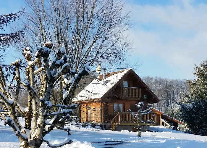 Vosgien - Ideal Couple/curistes - Calme Et Nature - Proche Plombieres-les-bains - Fr-1-589-230 Le Val-dʼAjol